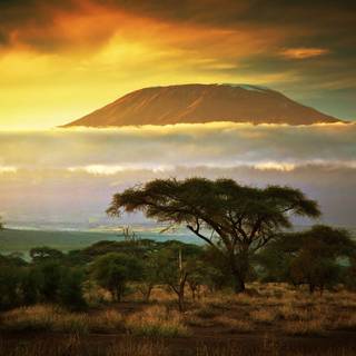 Mount Kilimanjaro wallpaper