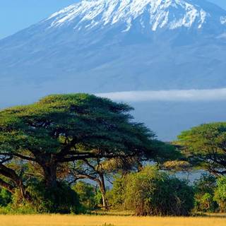 Mount Kilimanjaro wallpaper