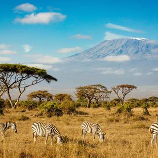 Mount Kilimanjaro wallpaper