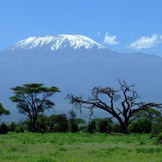 Mount Kilimanjaro wallpaper