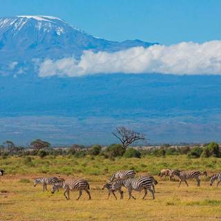 Mount Kilimanjaro wallpaper