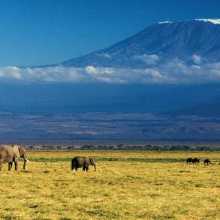 Mount Kilimanjaro wallpaper