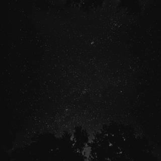 Black stars wallpaper