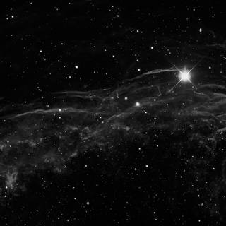 Black stars wallpaper