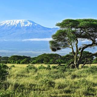 Mount Kilimanjaro wallpaper