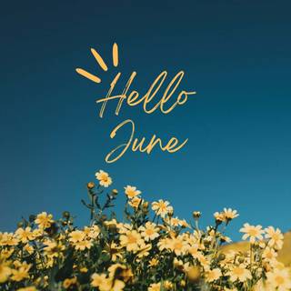 June flowers wallpaper