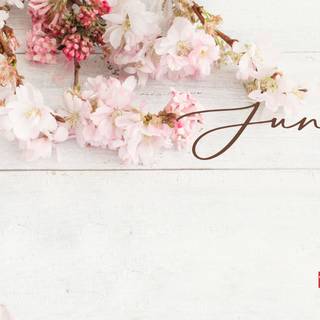 June laptop wallpaper