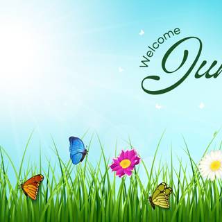 June laptop wallpaper