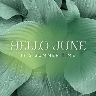 June laptop wallpaper