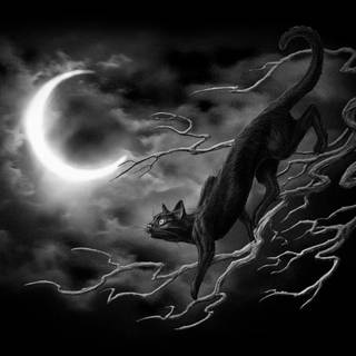 Goth cat wallpaper