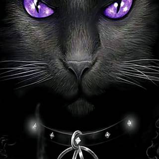 Goth cat wallpaper
