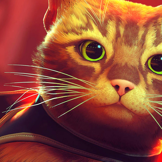 PS4 aesthetic cat wallpaper