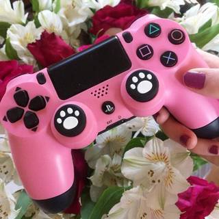 PS4 aesthetic cat wallpaper