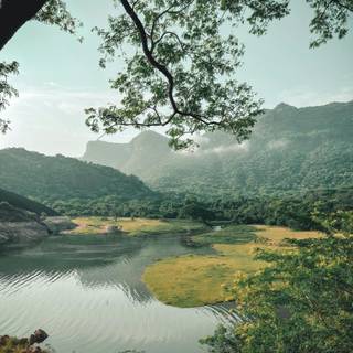 Rural India wallpaper