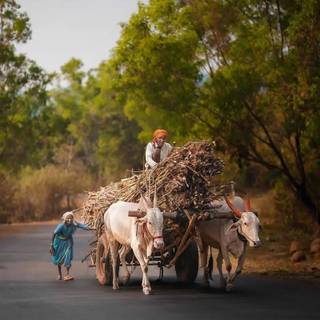 Rural India wallpaper