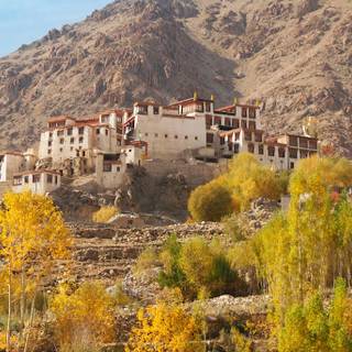 Rural India wallpaper