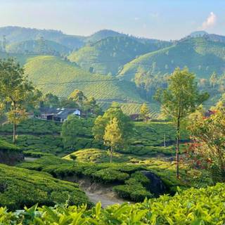 Rural India wallpaper