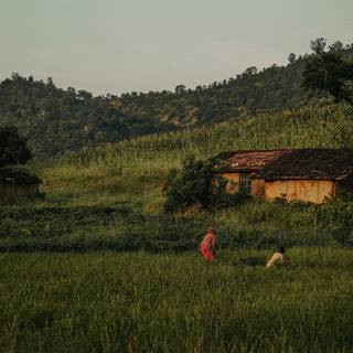 Rural India wallpaper