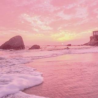 Summer sunset pink wallpaper