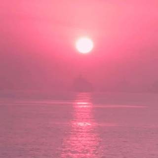 Summer sunset pink wallpaper