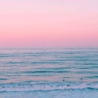 Summer sunset pink wallpaper