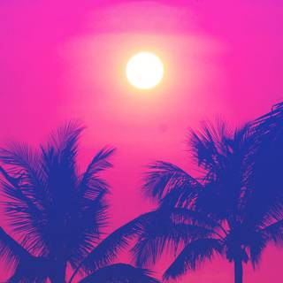 Summer sunset pink wallpaper