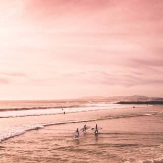 Summer sunset pink wallpaper