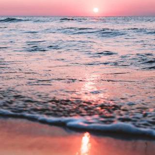 Summer sunset pink wallpaper