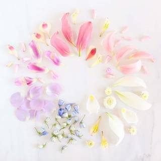 Summer pastel desktop wallpaper