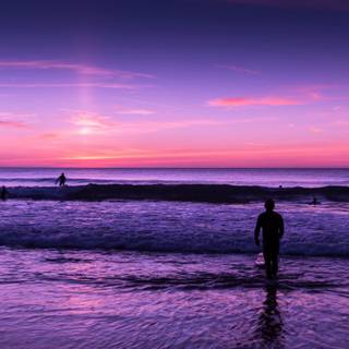 Summer sunset pink wallpaper