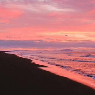 Summer sunset pink wallpaper