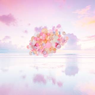 Summer sunset pink wallpaper