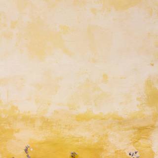 Yellow aesthetic summer wallpaper