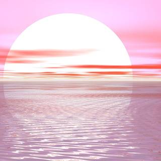 Summer sunset pink wallpaper
