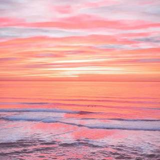 Summer sunset pink wallpaper