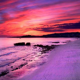 Summer sunset pink wallpaper