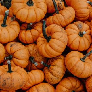 Cozy fall Halloween wallpaper