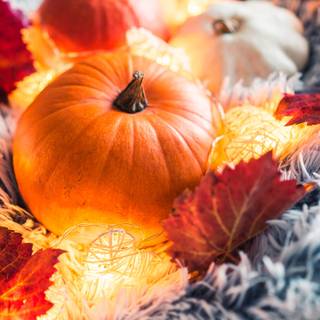 Cozy fall Halloween wallpaper