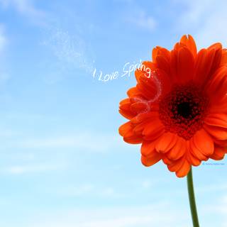 Spring 1440x900 wallpaper