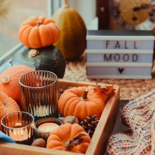 Cozy fall Halloween wallpaper