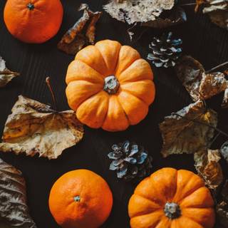 Cozy fall Halloween wallpaper