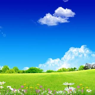 Spring 1440x900 wallpaper