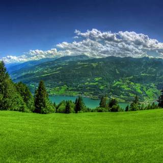 Spring 1440x900 wallpaper