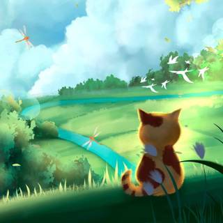 Summer cats PC wallpaper