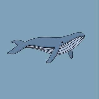 Cartoon whale wallpaper
