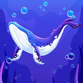 Cartoon whale wallpaper