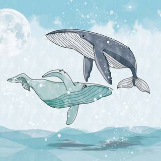 Cartoon whale wallpaper