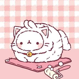Bunny and cat wallpaper
