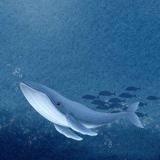 Cartoon whale wallpaper