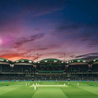 Cricket sports wallpaper